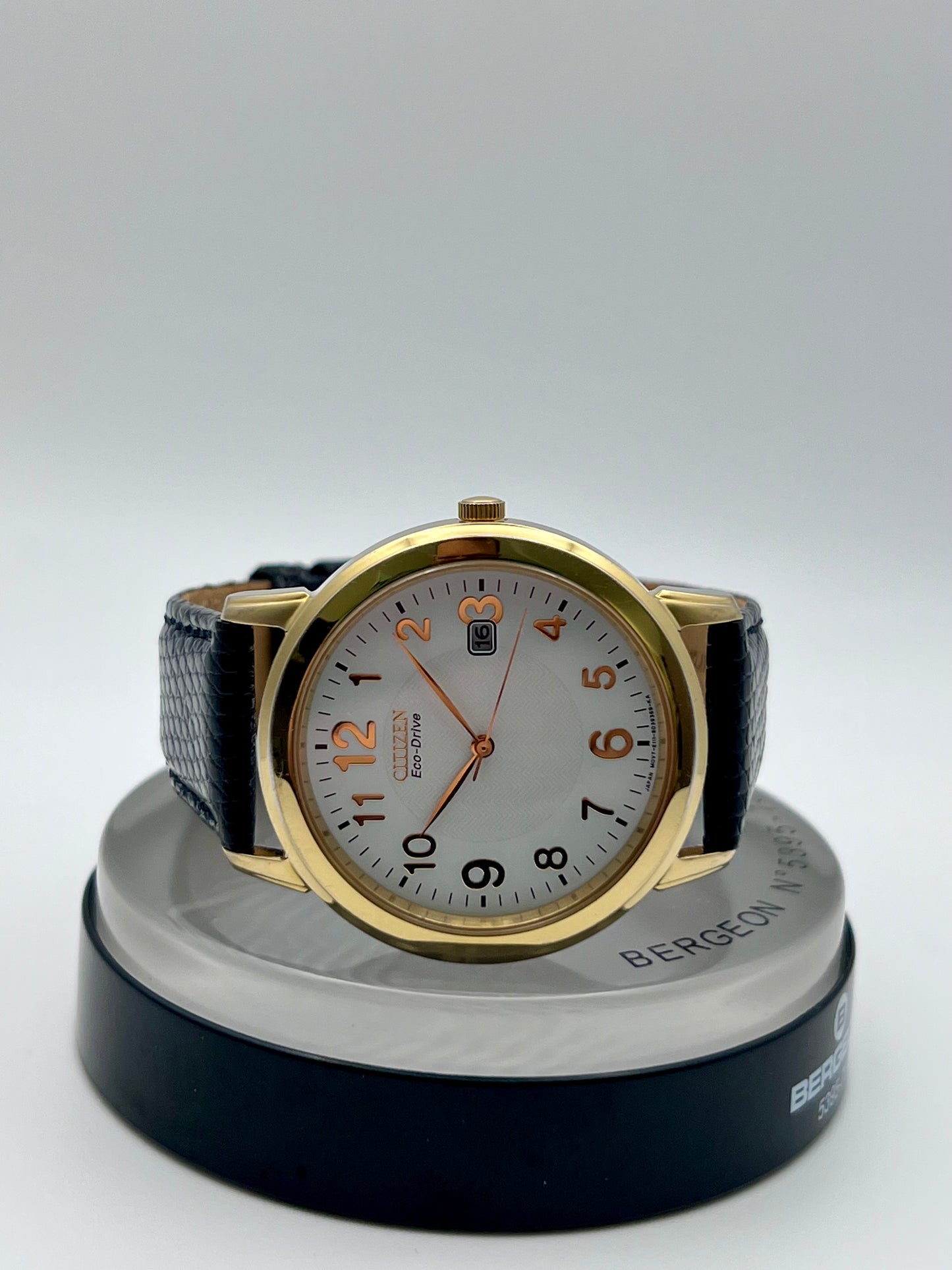 2005 Mens Citizen Eco-Drive E111-S022894
