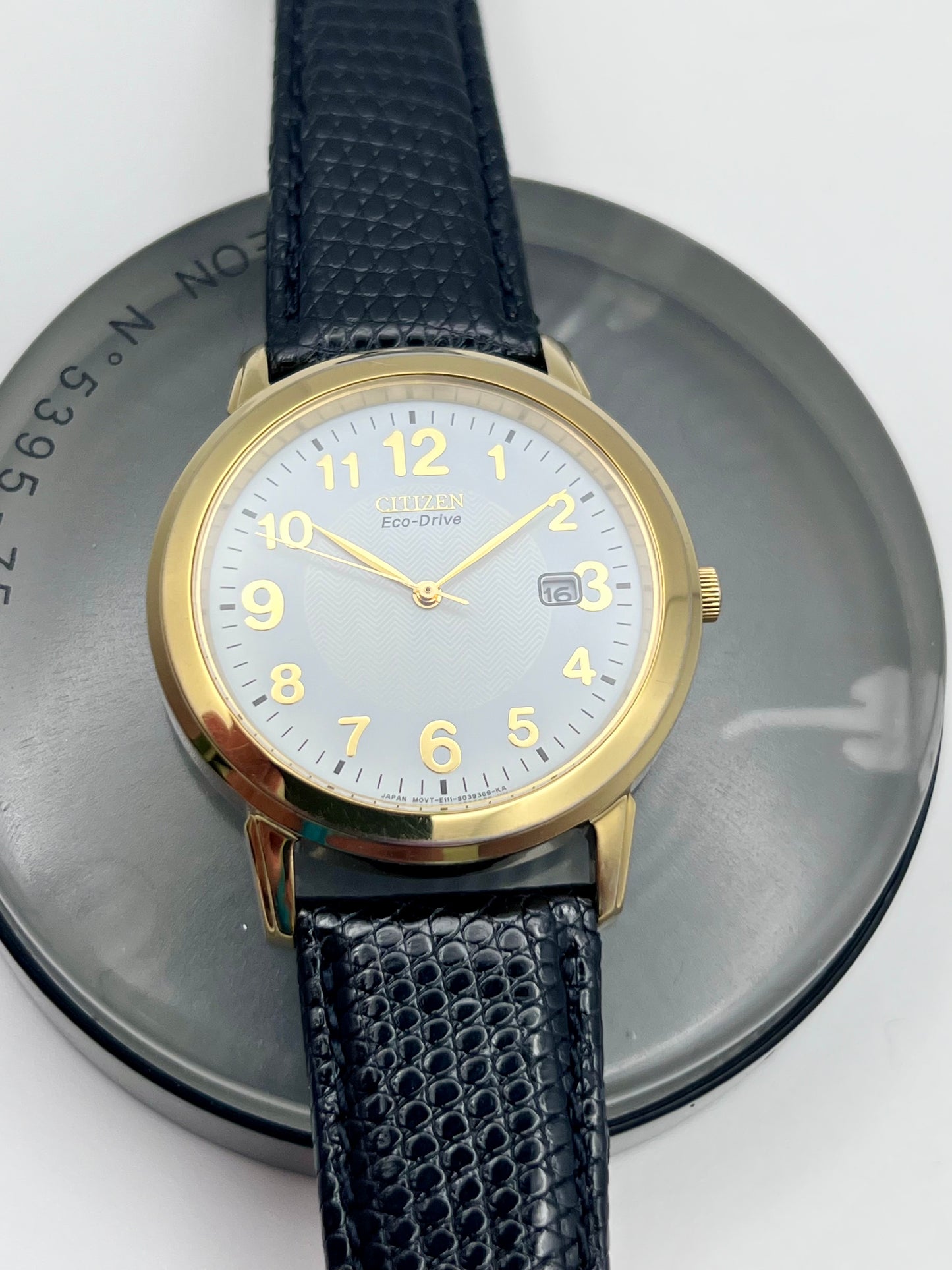 2005 Mens Citizen Eco-Drive E111-S022894