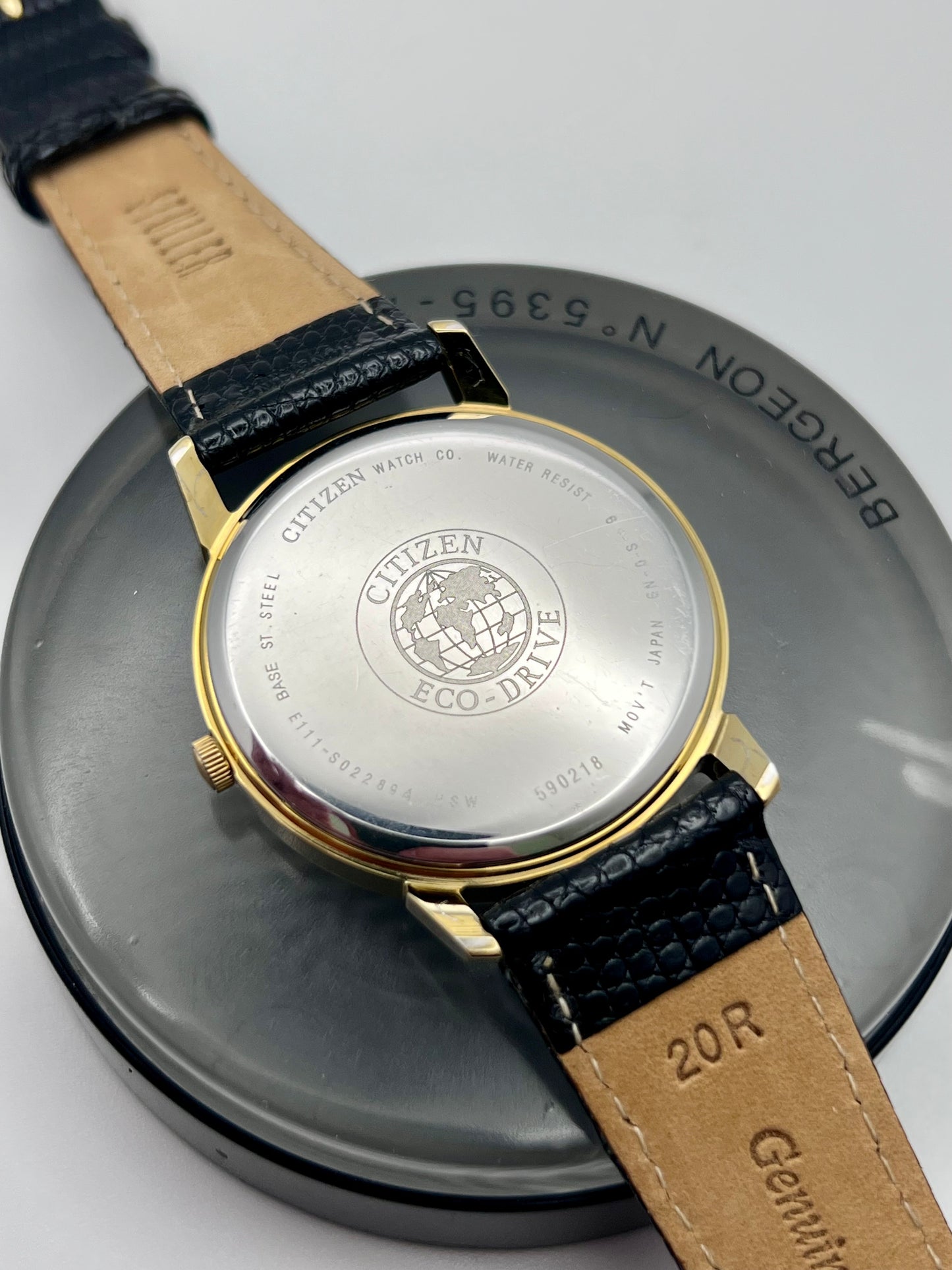 2005 Mens Citizen Eco-Drive E111-S022894